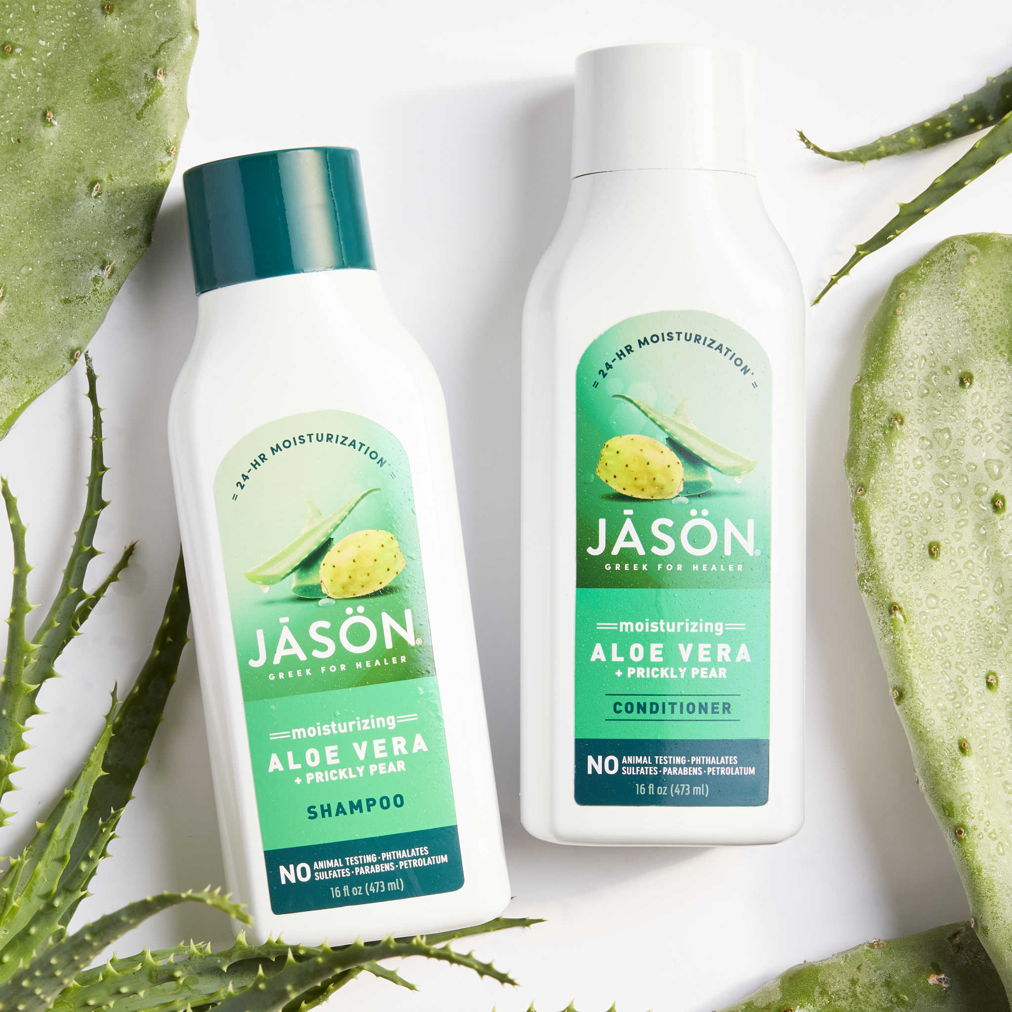Anti-Dandruff Scalp Care Shampoo | Jason Naturals